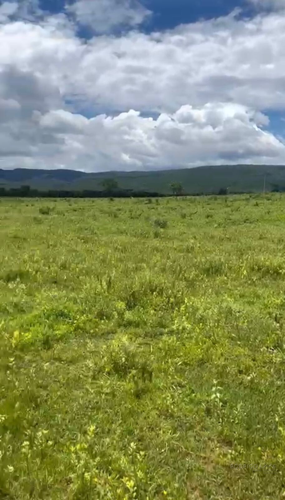 Fazenda para venda em Buenópolis MG