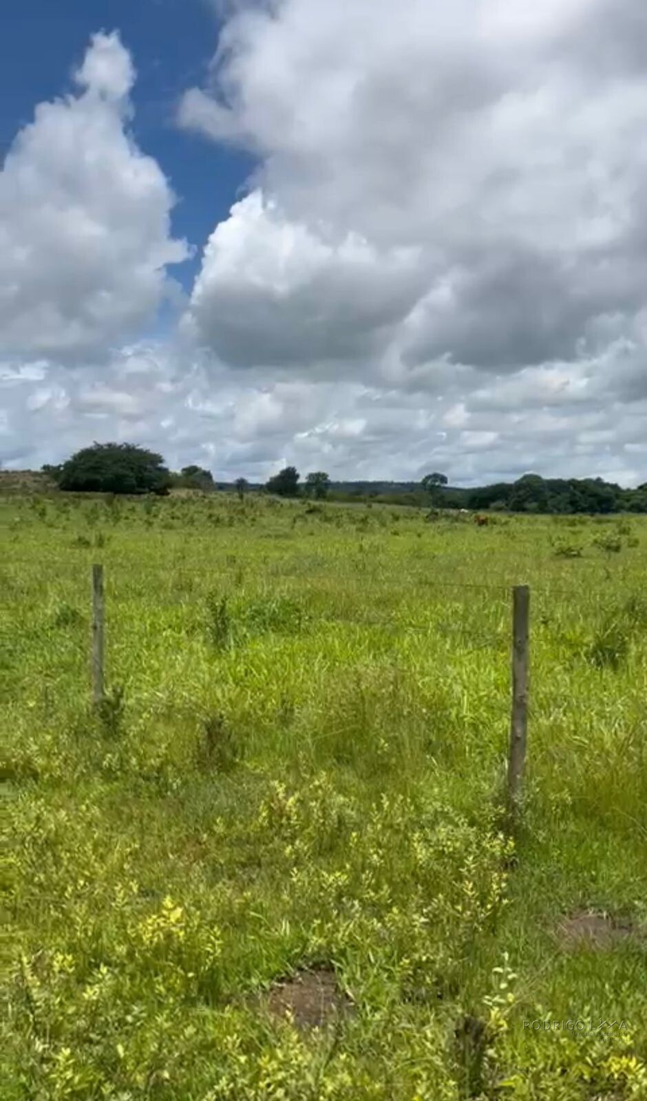 Fazenda para venda em Buenópolis MG