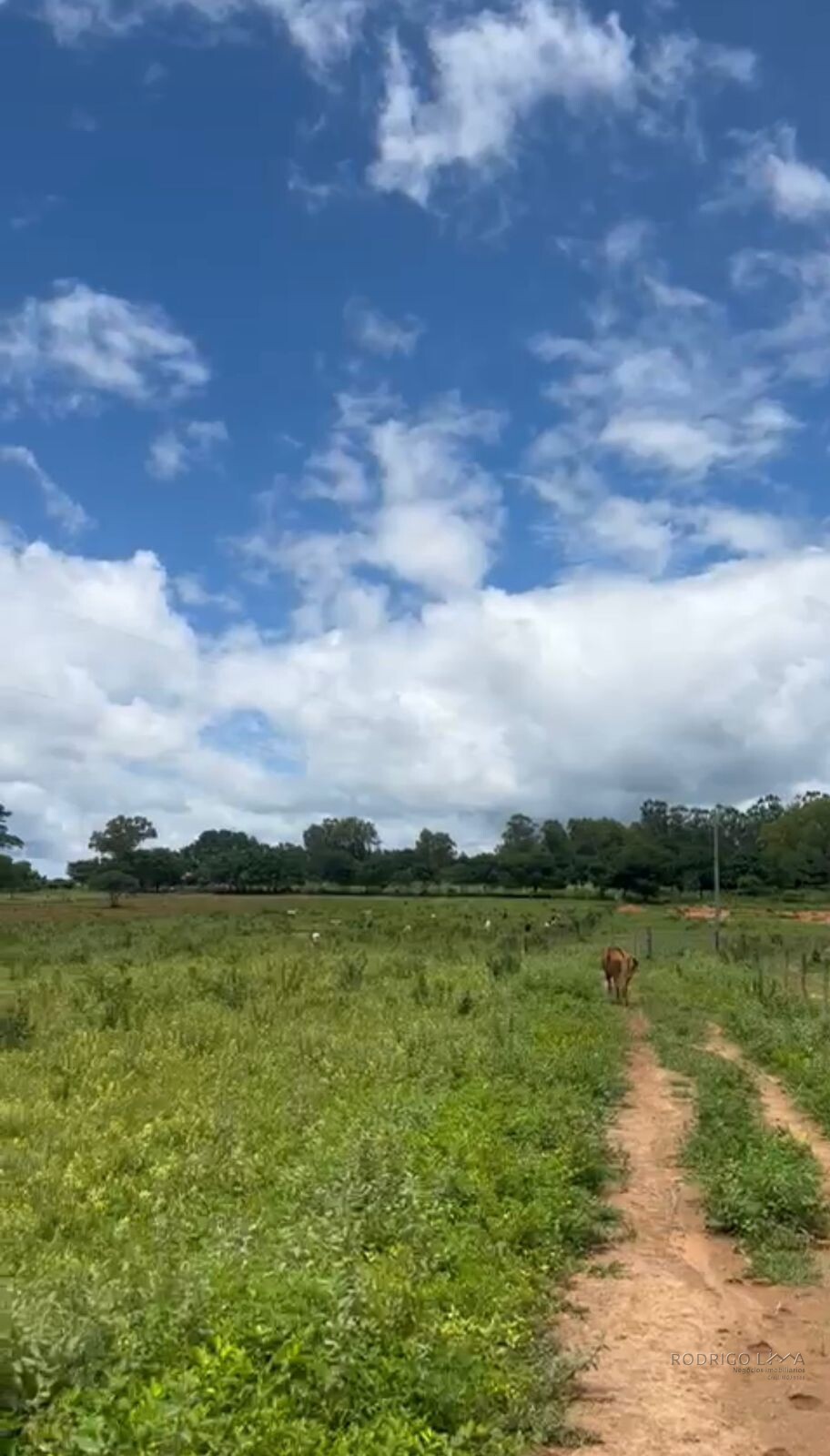 Fazenda para venda em Buenópolis MG