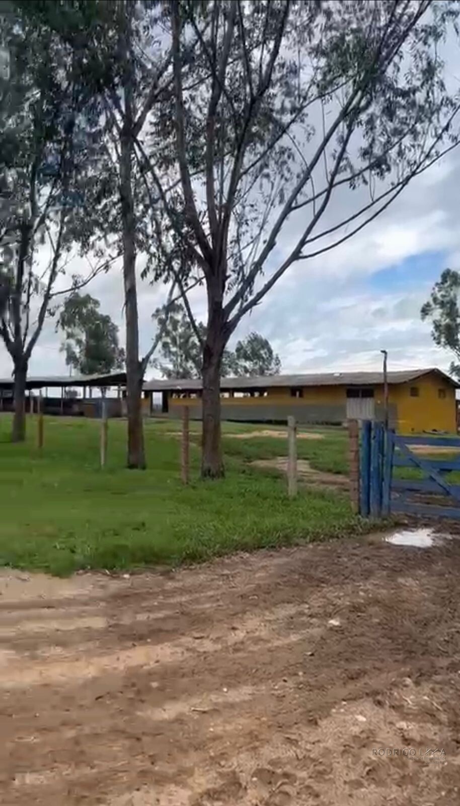 Fazenda para venda em Buenópolis MG