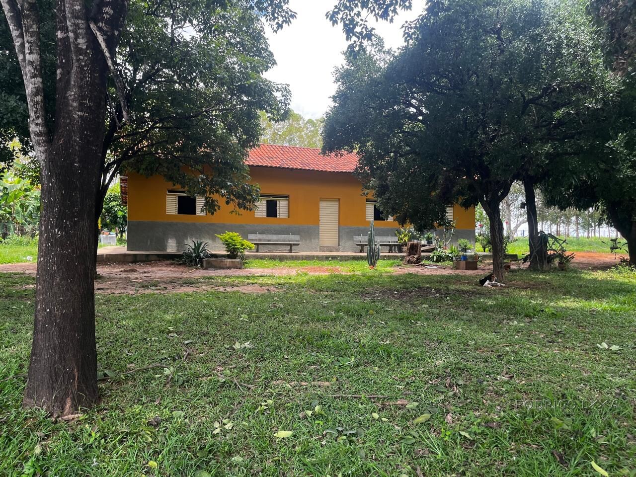 Fazenda para venda em Buenópolis MG