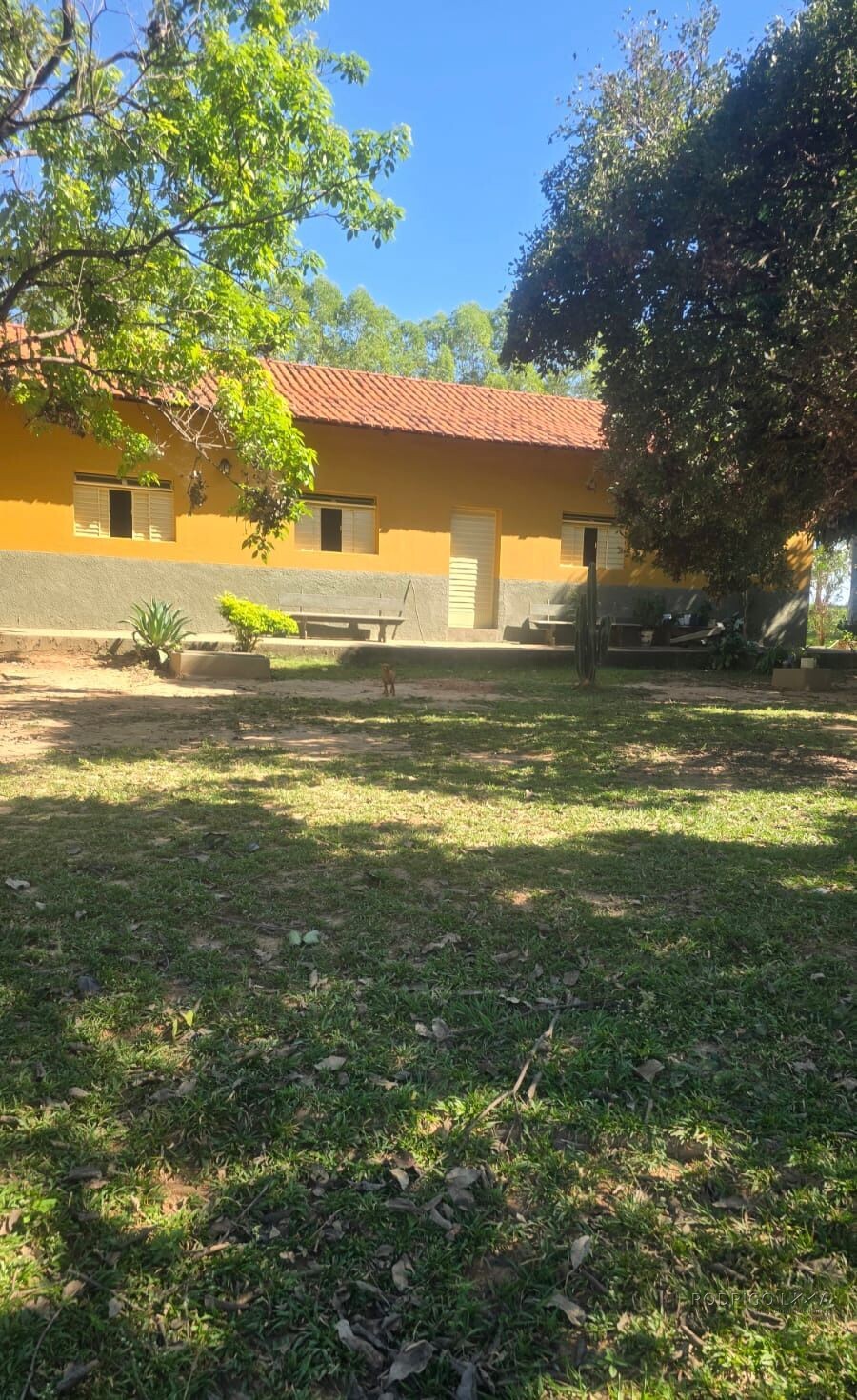 Fazenda para venda em Buenópolis MG