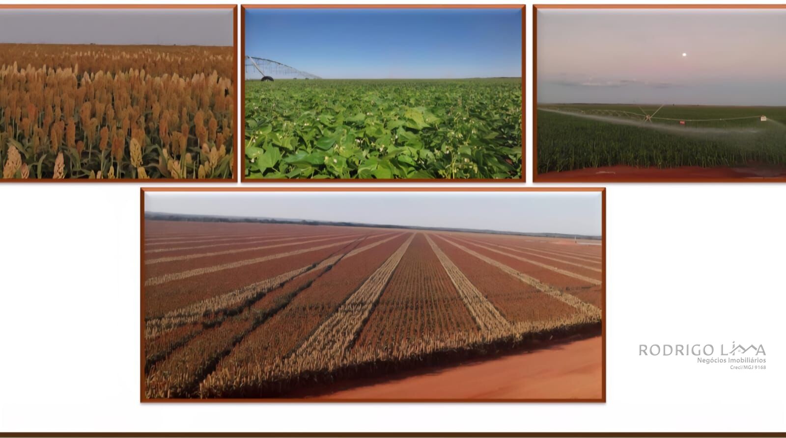 Fazenda para venda próximo a Paracatu MG