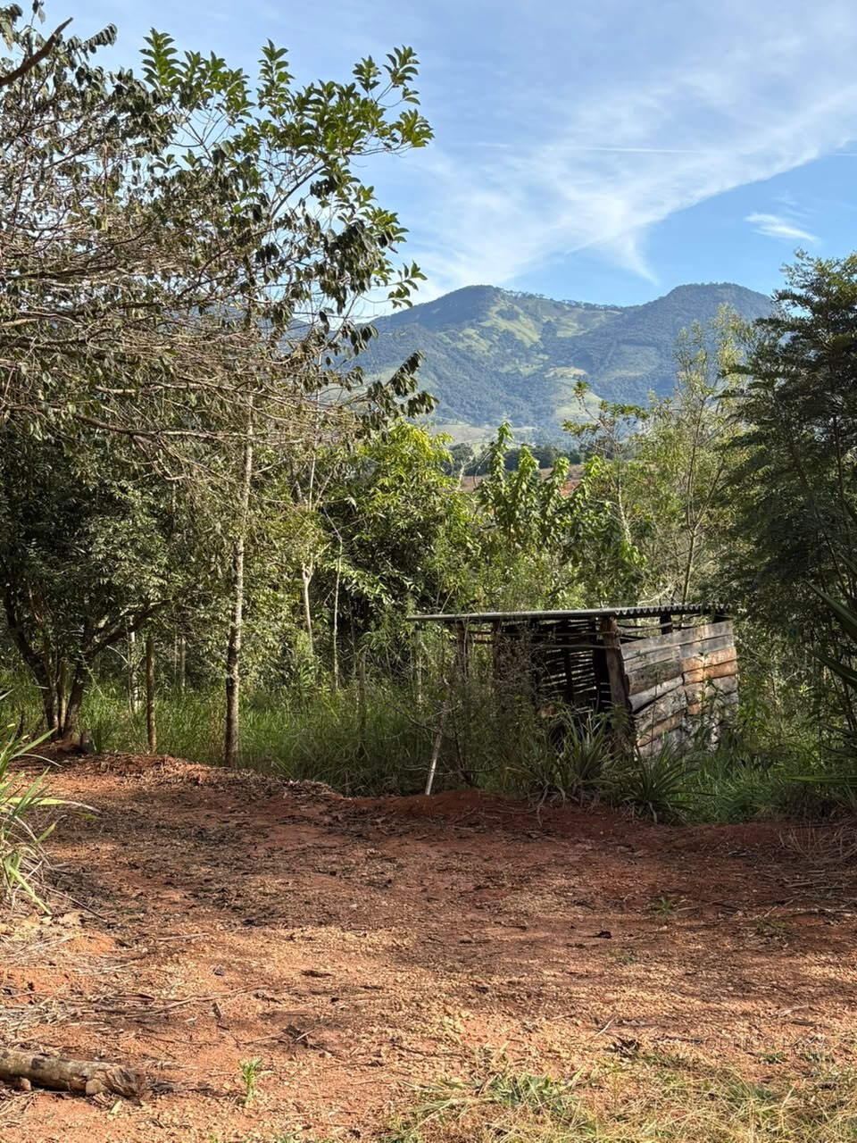 Chácara para venda em Dom Viçoso MG