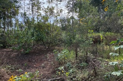 Chácara para venda em Dom Viçoso MG