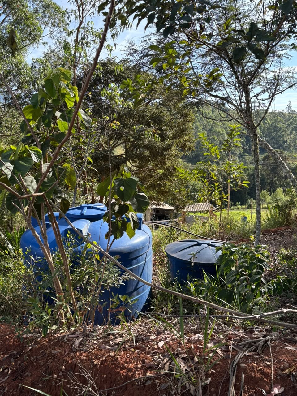 Chácara para venda em Dom Viçoso MG