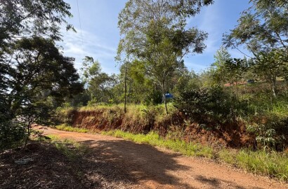 Chácara para venda em Dom Viçoso MG