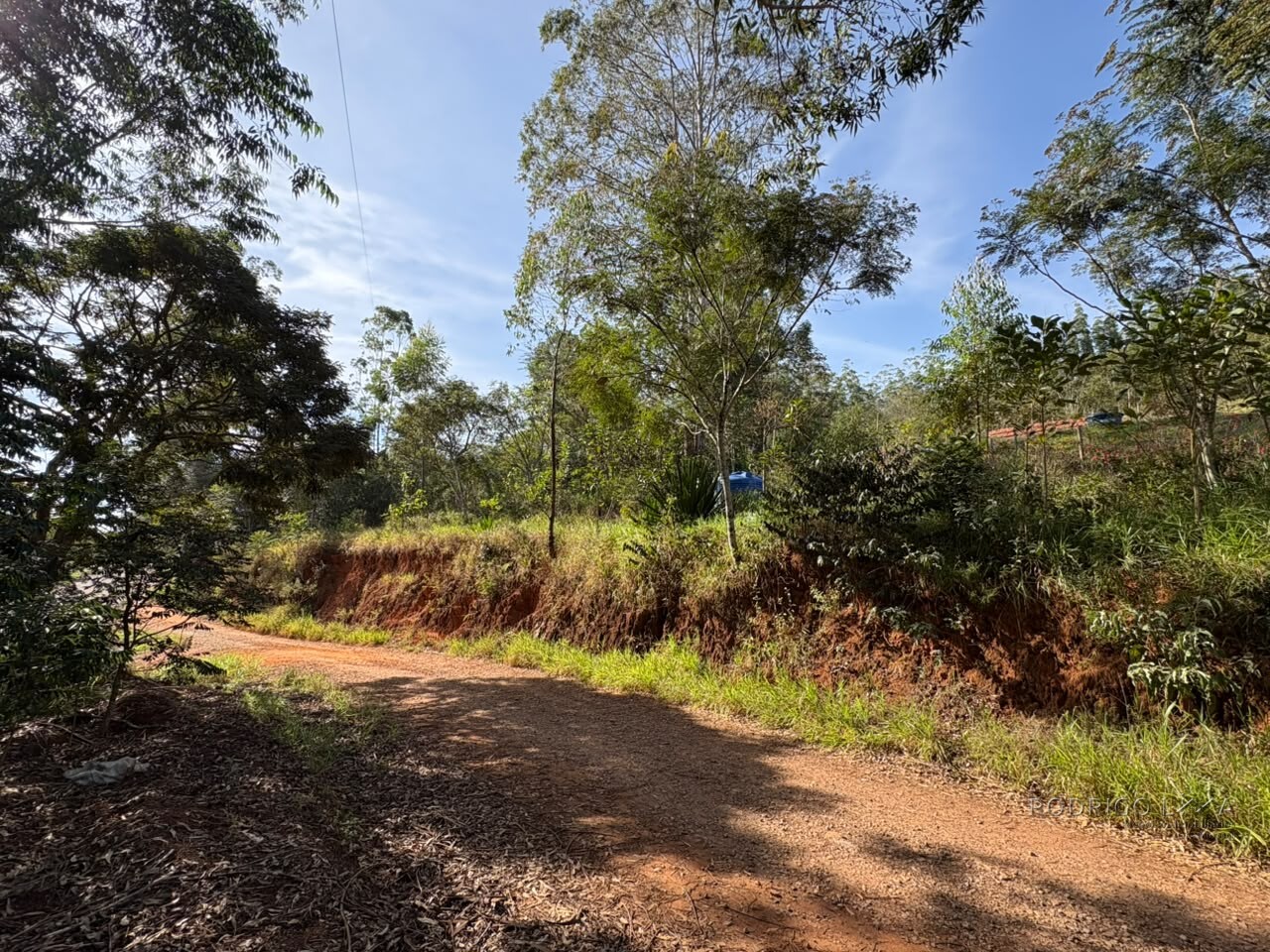 Chácara para venda em Dom Viçoso MG