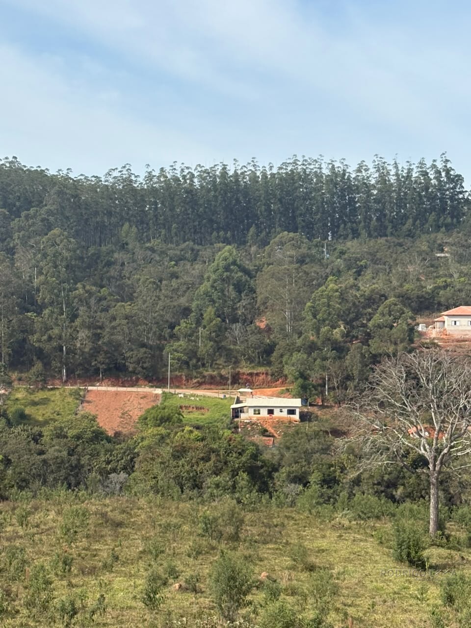 Chácara para venda em Dom Viçoso MG