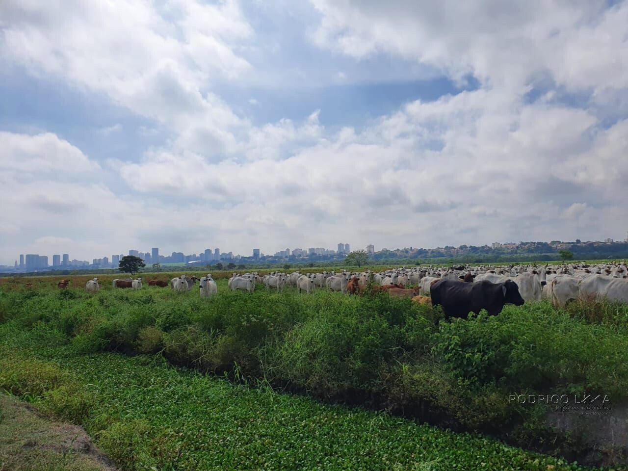 Fazenda para venda em São José dos Campos SP