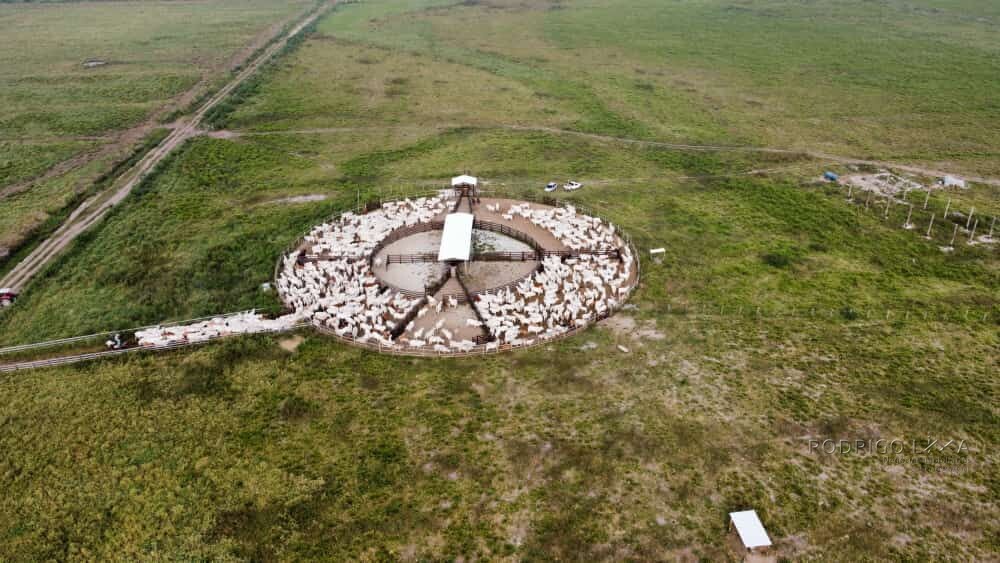 Fazenda para venda em São José dos Campos SP