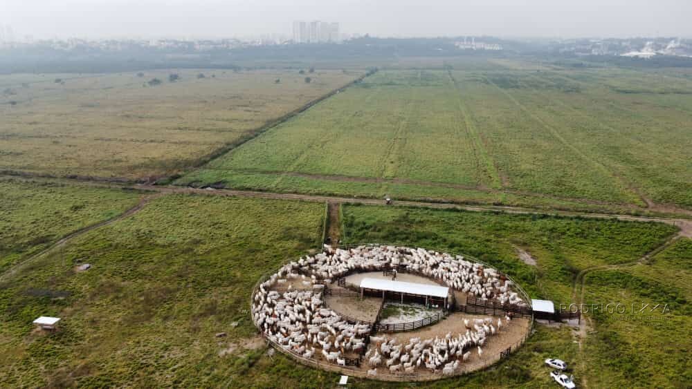 Fazenda para venda em São José dos Campos SP
