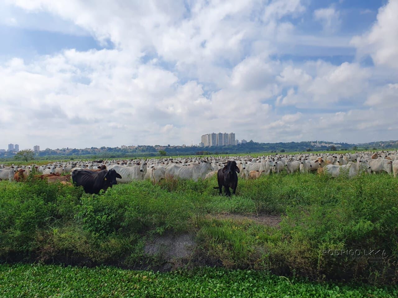 Fazenda para venda em São José dos Campos SP