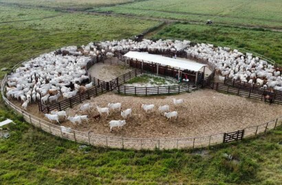 Fazenda para venda em São José dos Campos SP