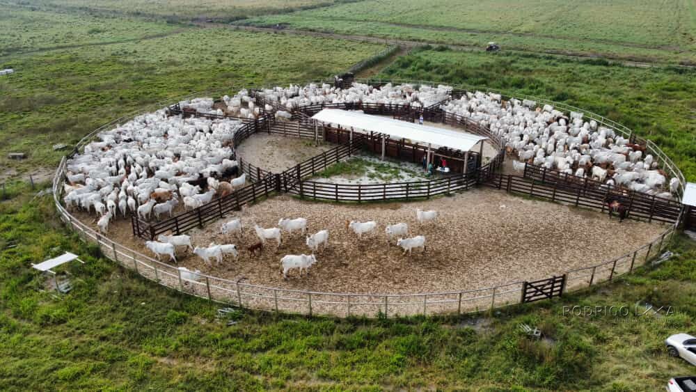 Fazenda para venda em São José dos Campos SP
