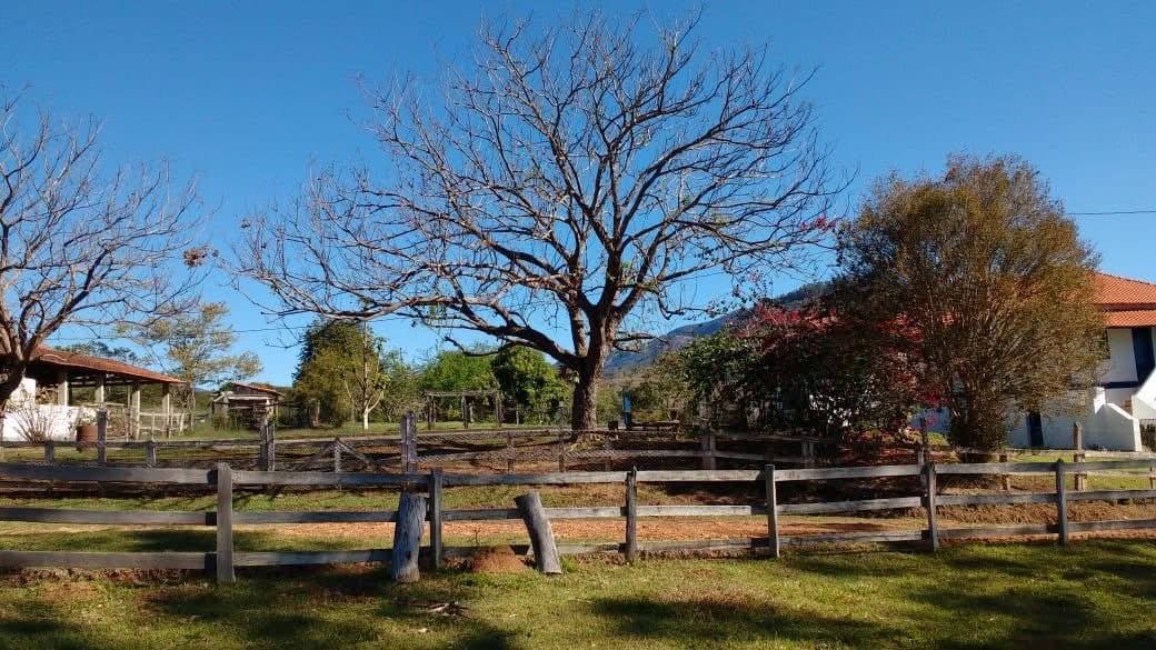 Fazenda para venda em Itajubá MG