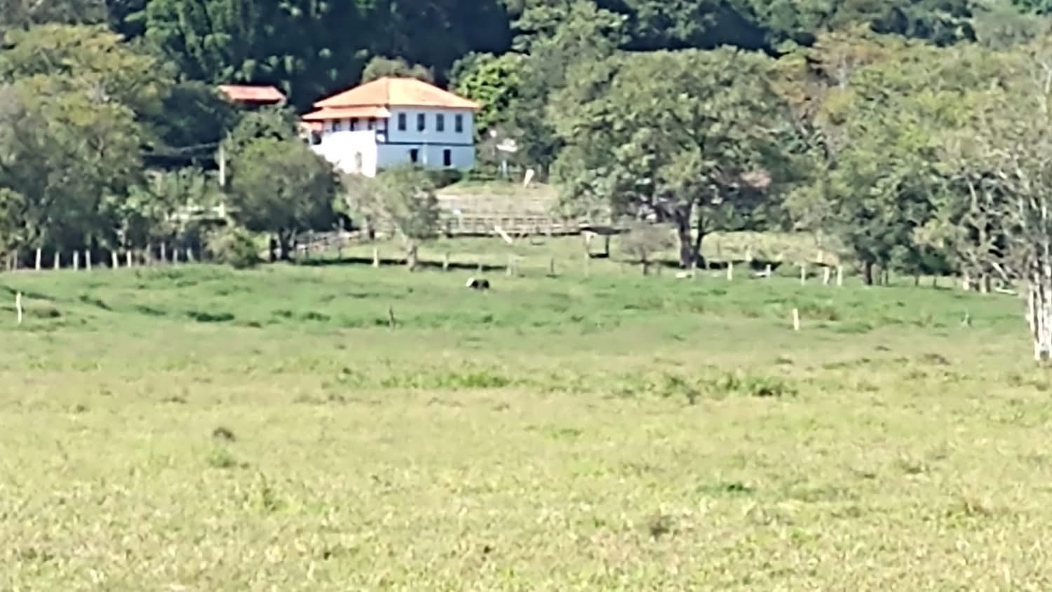 Fazenda para venda em Itajubá MG