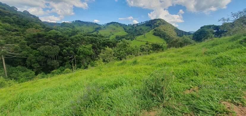 Fazenda para venda em Virgínia MG