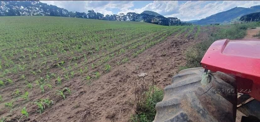 Fazenda para venda em Virgínia MG