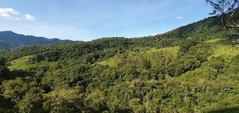 Fazenda para venda em Virgínia MG