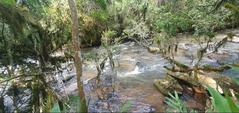 Fazenda para venda em Virgínia MG