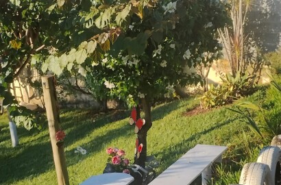 Sítio para venda em Maria da Fé Mg