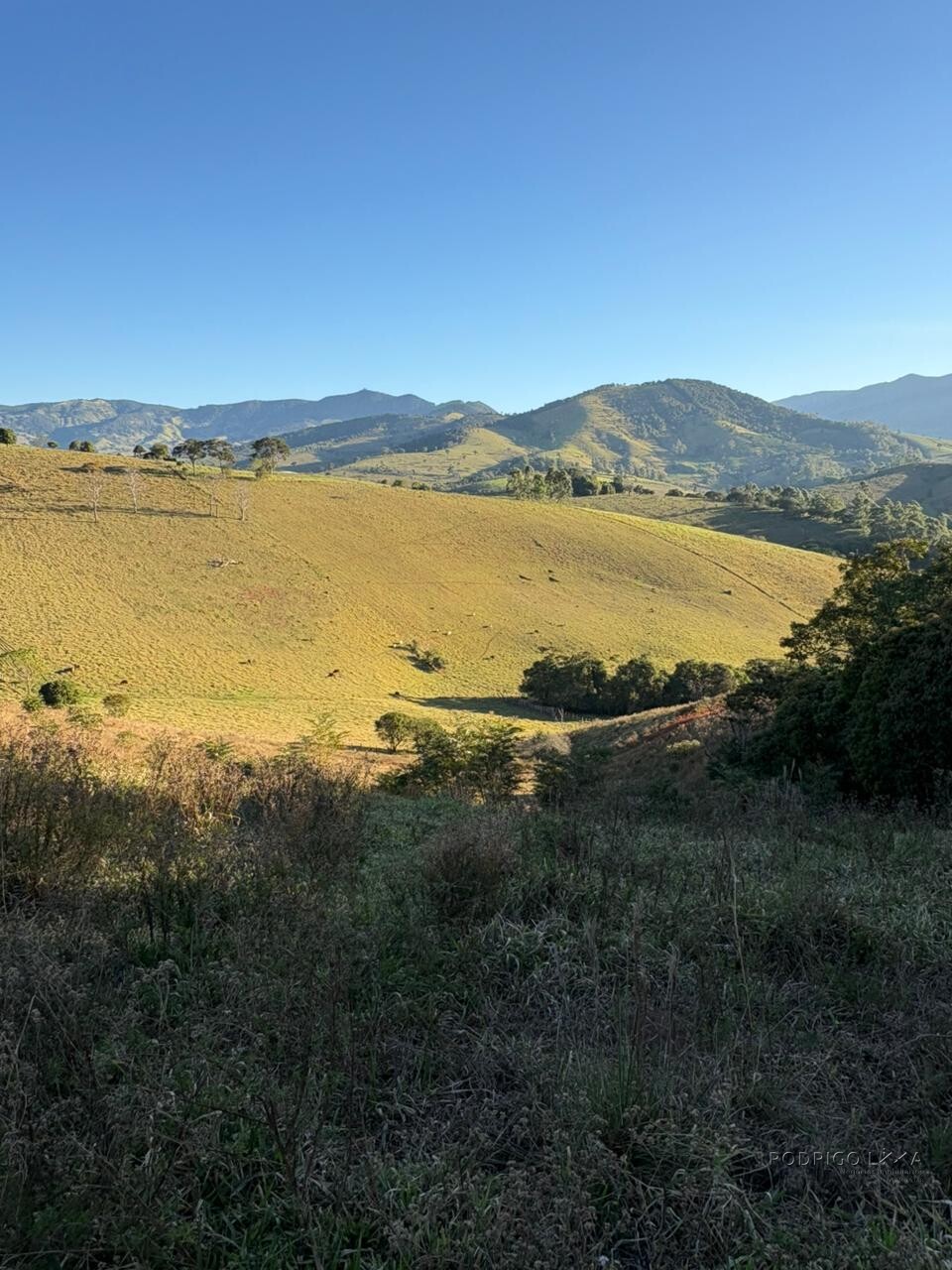 Área rural para venda em Dom Viçoso MG