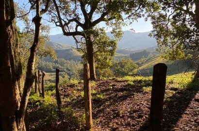 Área rural para venda em Dom Viçoso MG