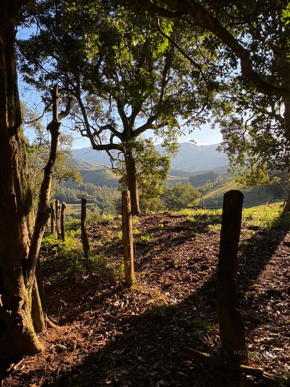 Área rural para venda em Dom Viçoso MG