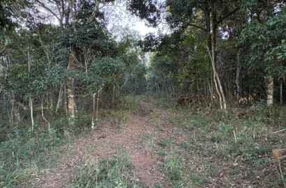 Área rural para venda em Dom Viçoso MG