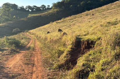 Área rural para venda em Dom Viçoso MG