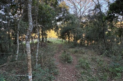 Área rural para venda em Dom Viçoso MG