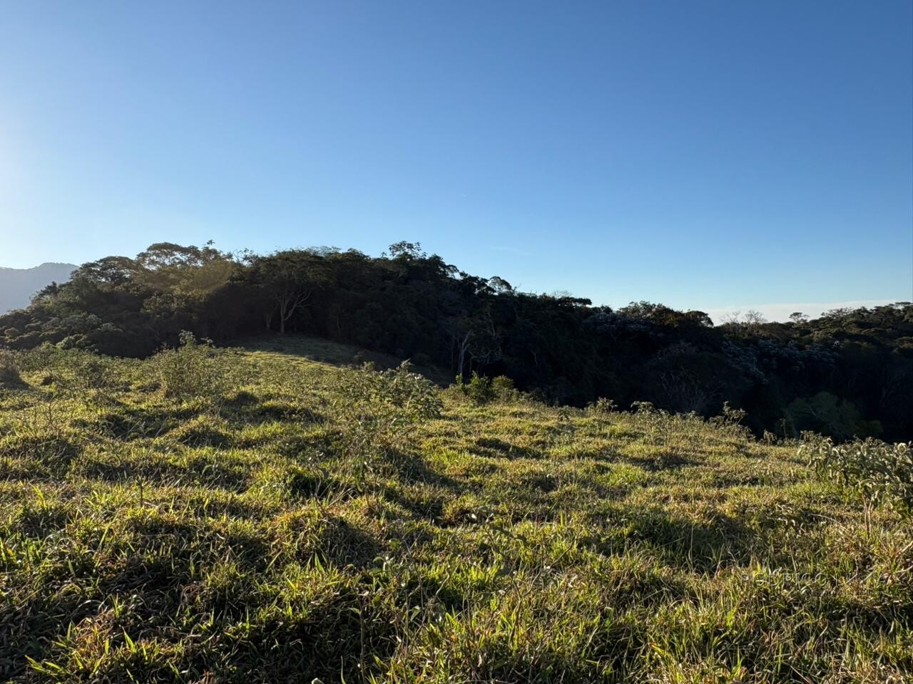 Área rural para venda em Dom Viçoso MG
