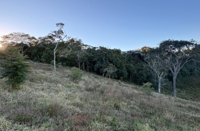 Área rural para venda em Dom Viçoso MG