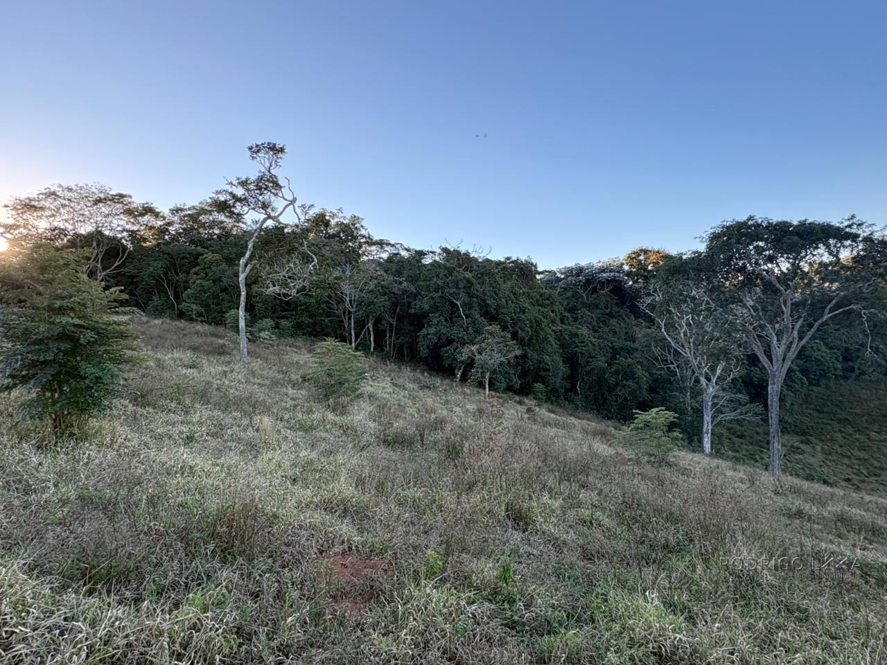 Área rural para venda em Dom Viçoso MG