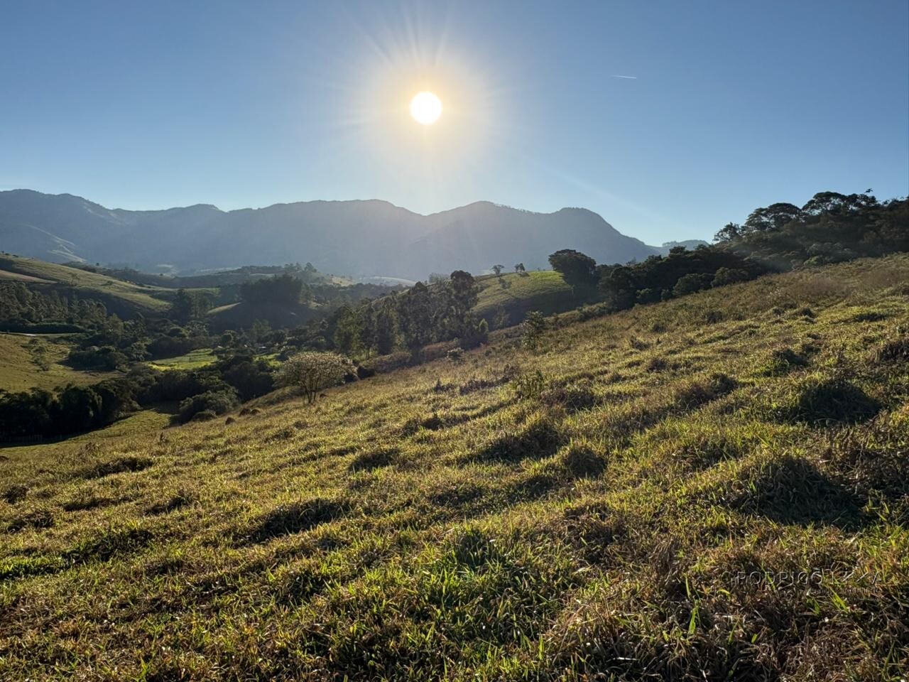 Área rural para venda em Dom Viçoso MG