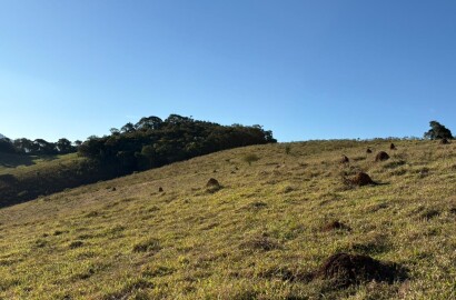 Área rural para venda em Dom Viçoso MG