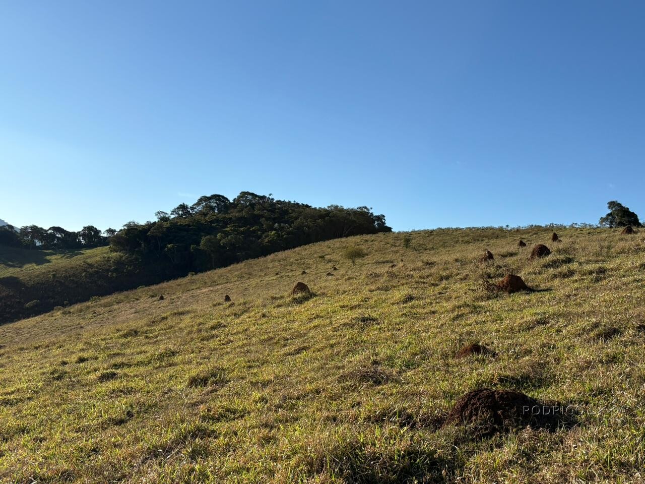 Área rural para venda em Dom Viçoso MG