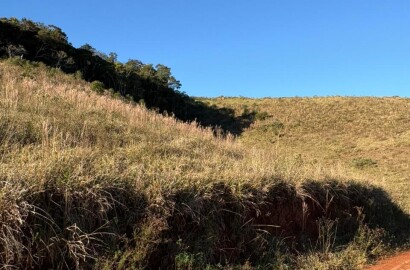 Área rural para venda em Dom Viçoso MG