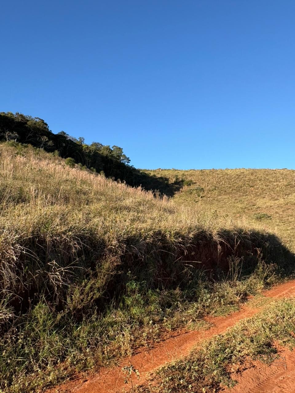 Área rural para venda em Dom Viçoso MG