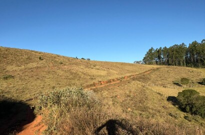 Área rural para venda em Dom Viçoso MG