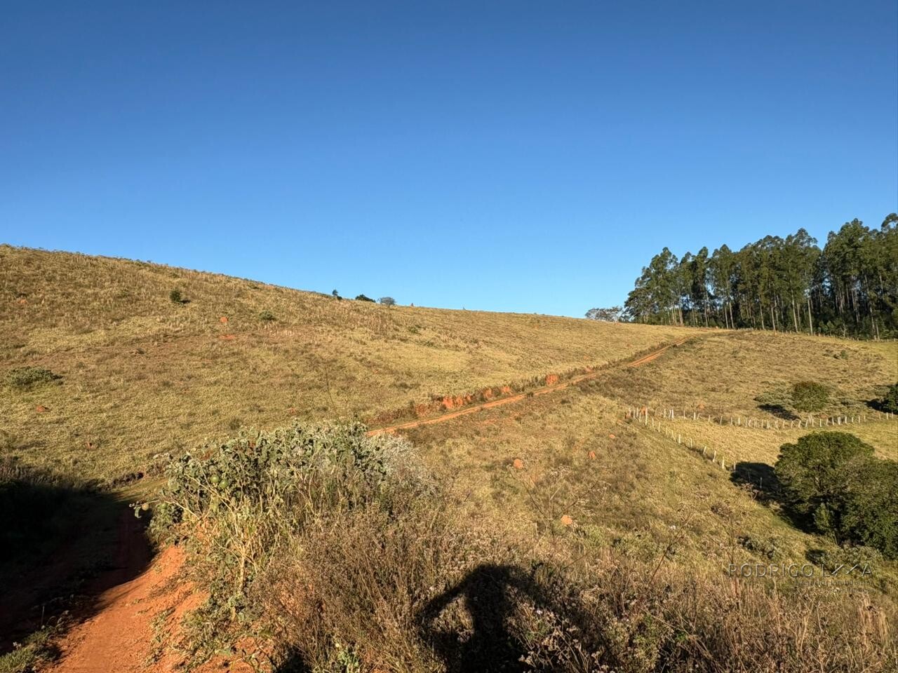 Área rural para venda em Dom Viçoso MG