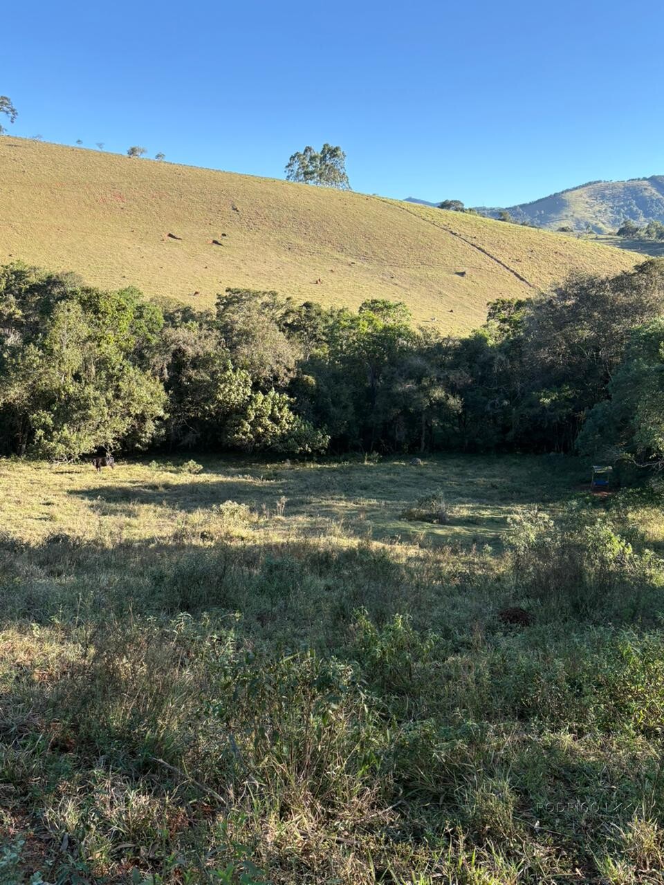 Área rural para venda em Dom Viçoso MG
