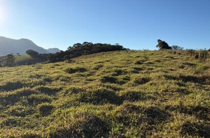 Área rural para venda em Dom Viçoso MG