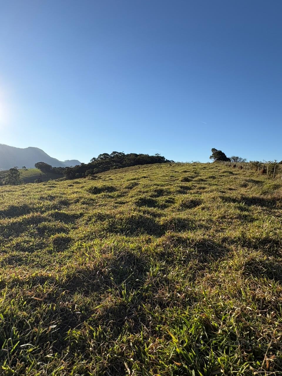 Área rural para venda em Dom Viçoso MG