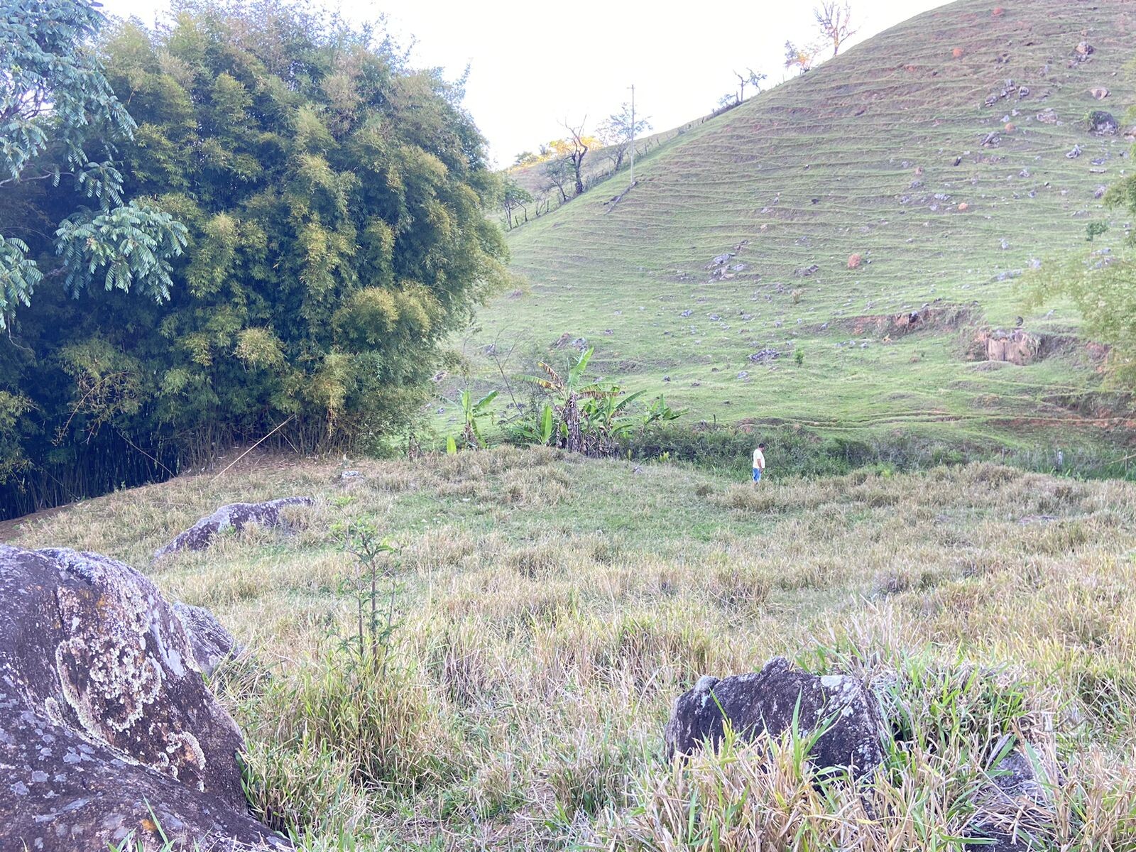 Linda área rural para venda em Dom Viçoso MG.