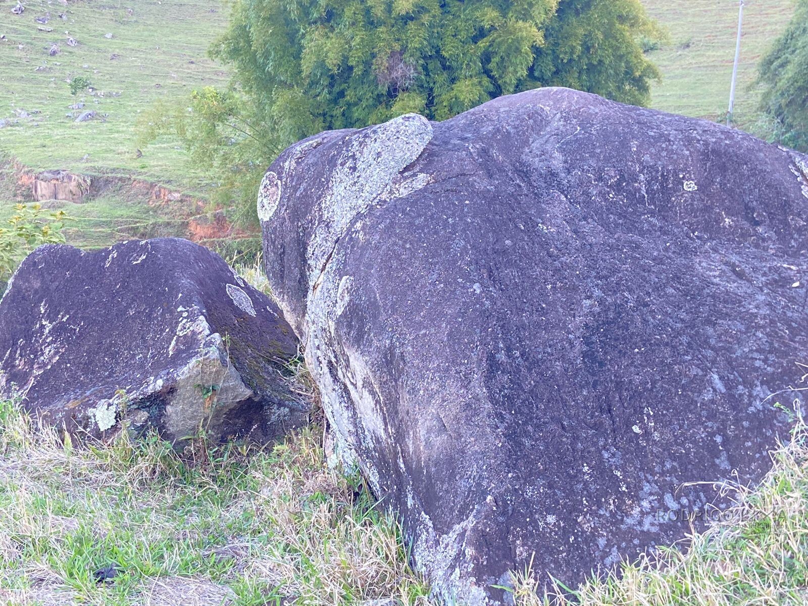 Linda área rural para venda em Dom Viçoso MG.