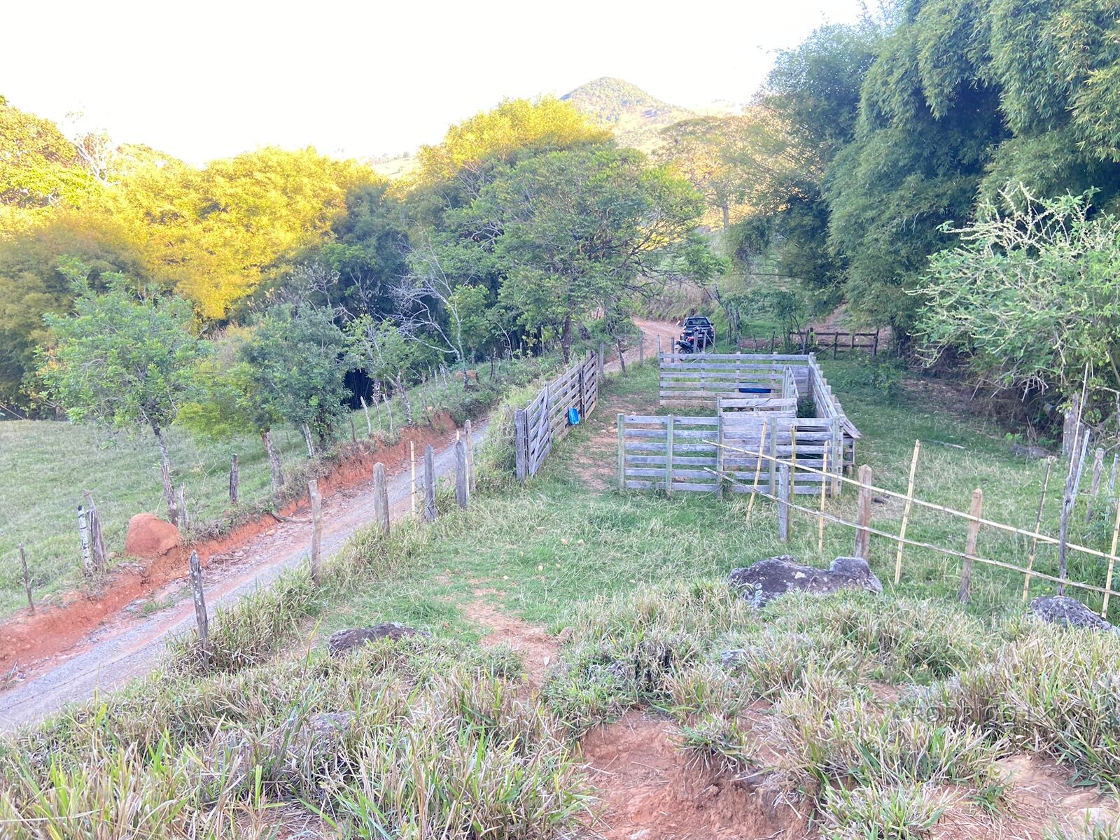 Linda área rural para venda em Dom Viçoso MG.