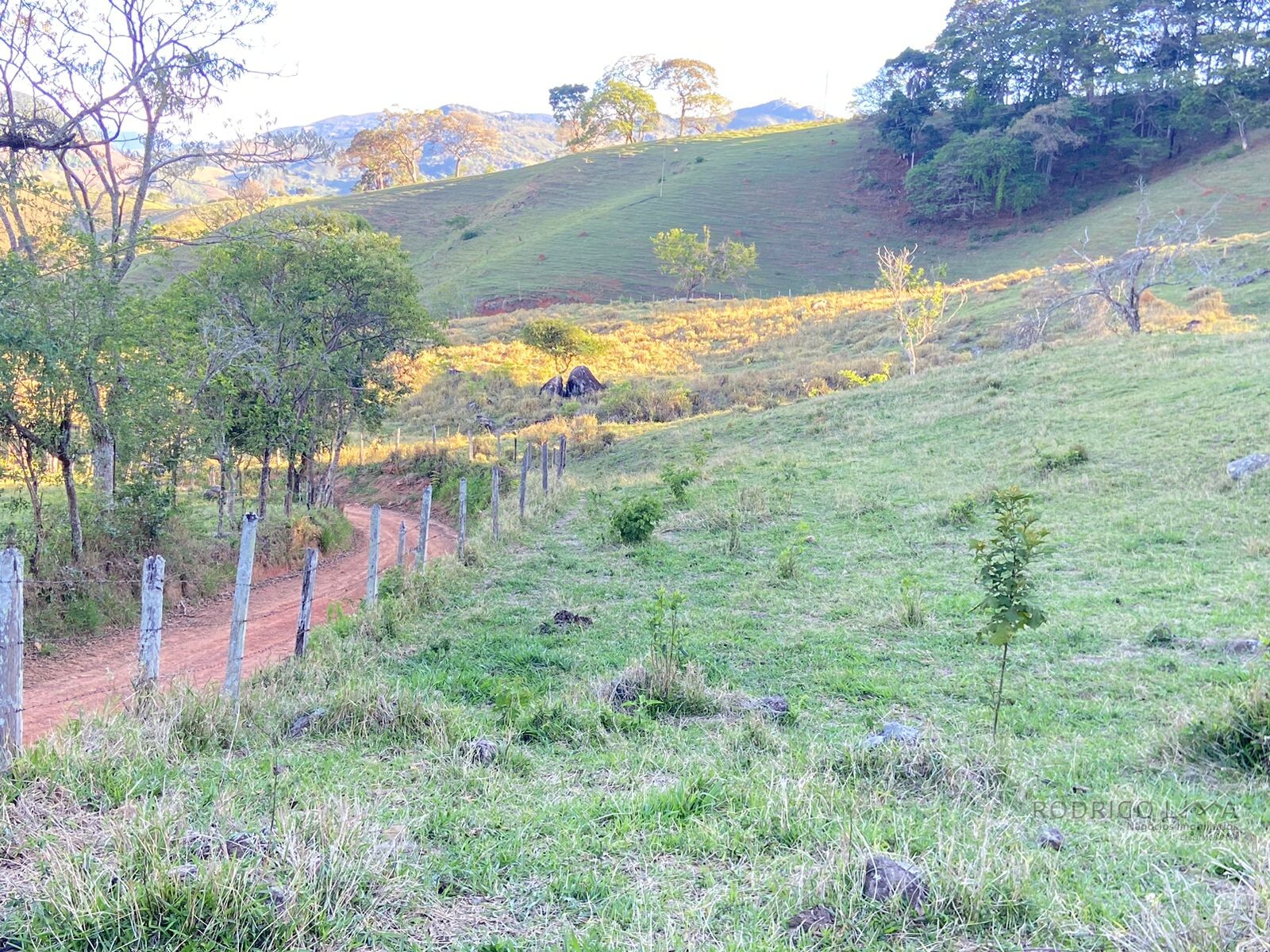 Linda área rural para venda em Dom Viçoso MG.