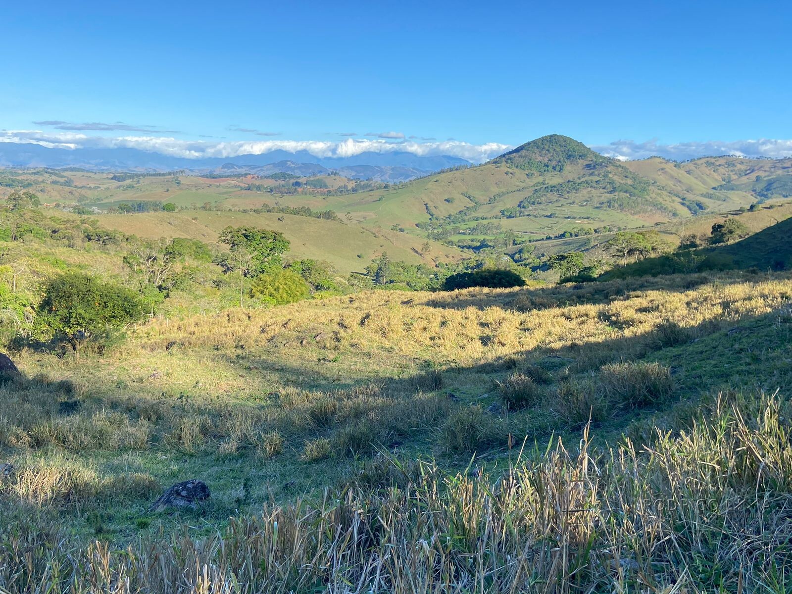 Linda área rural para venda em Dom Viçoso MG.